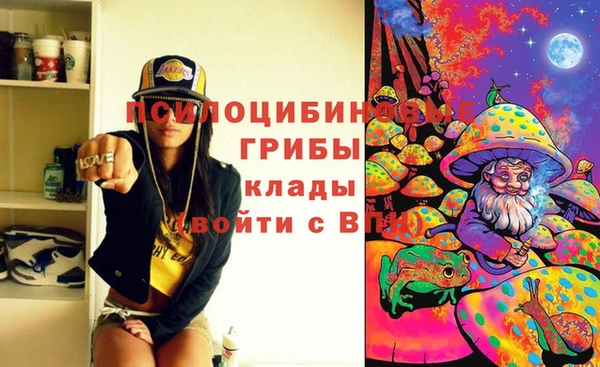 дживик Верея